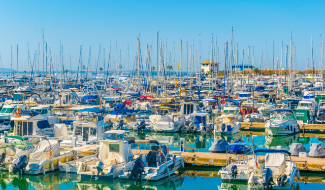 La foire nautique et gastronomique Sepia (seiche en français) du port d'Alcúdia se tient en avril sur le front de mer de cette ville du nord de Majorque.