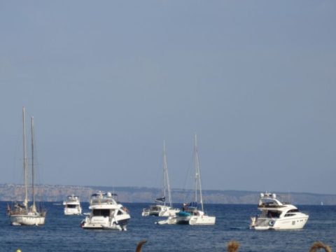 Les choses à faire à Palma Nova - Majorque